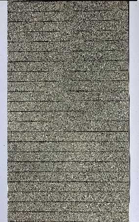 FA170834