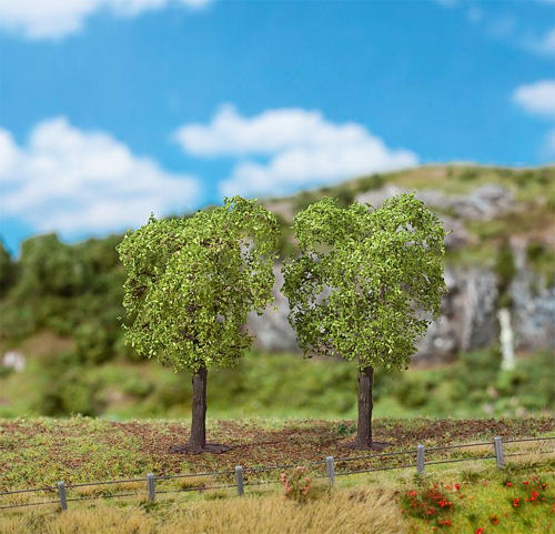 Faller Elm Tree