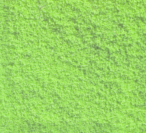 N07241