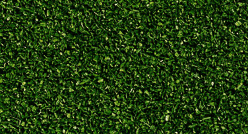 N08421