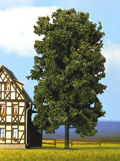 N21800
