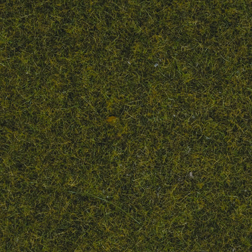 N50220