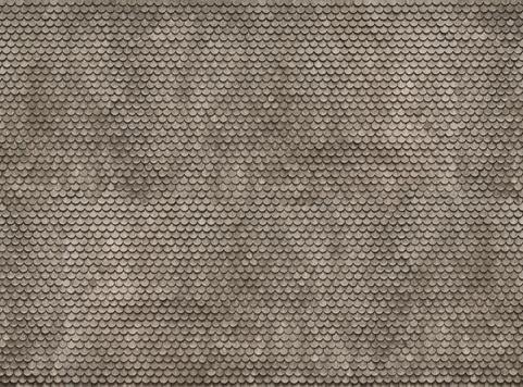 N56691