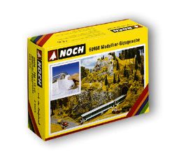 N60980