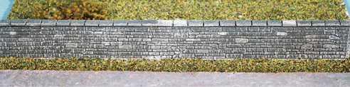 SS36