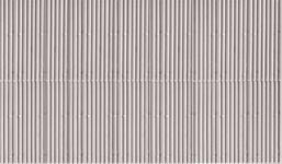 SSMP219