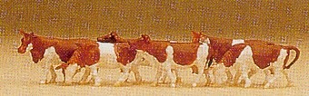 PR79155