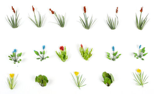 Gaugemaster Laser Cut Plants