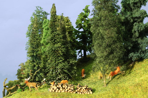 Ground Cover and Trees
