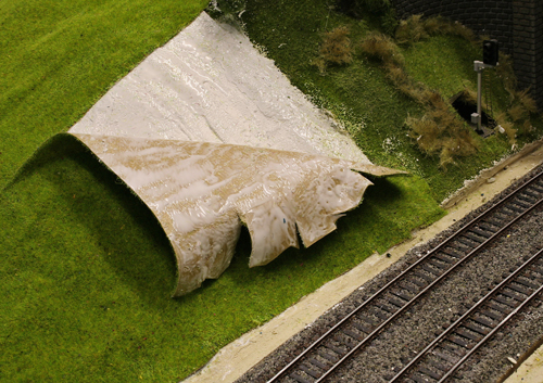 model landscaping
