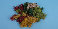 GM166 - Mixed Lichen