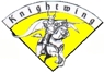 Knightwing logo