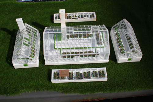 Fordhampton Nursery