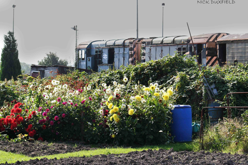 trainspotting at Eastleigh