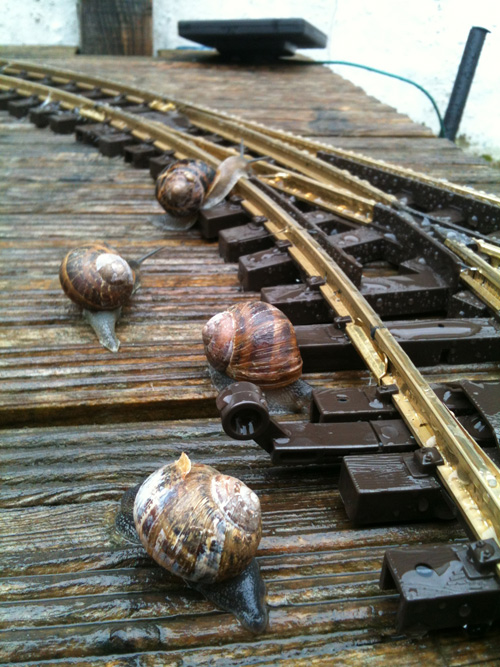 getting started in G scale