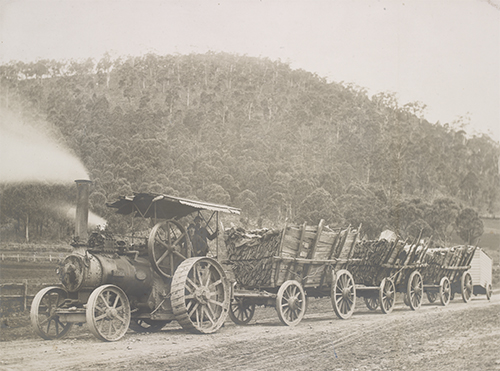 Fowler Ploughing Engine