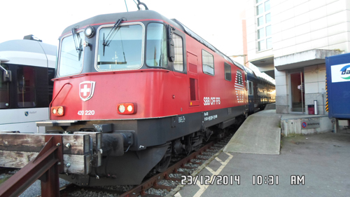 Hunting Lions In Zurich