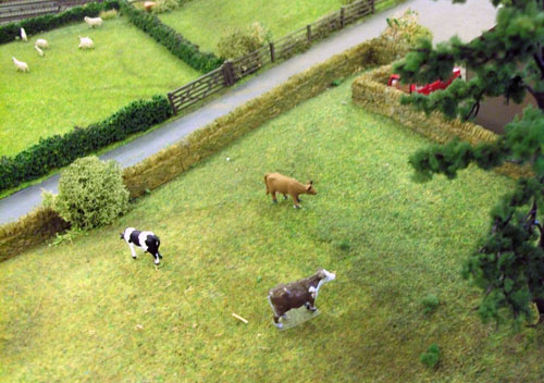 Model Railway Scenics
